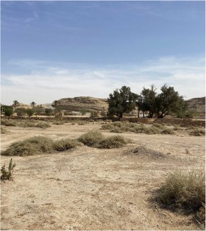 WADI AL SULAI