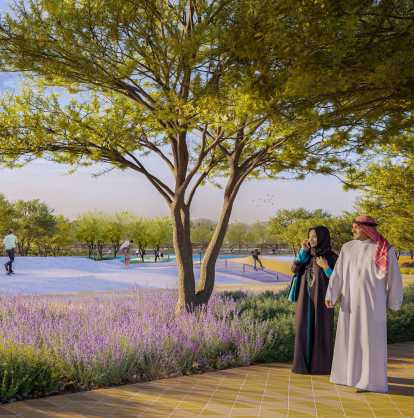 الوجهة الترفيهية